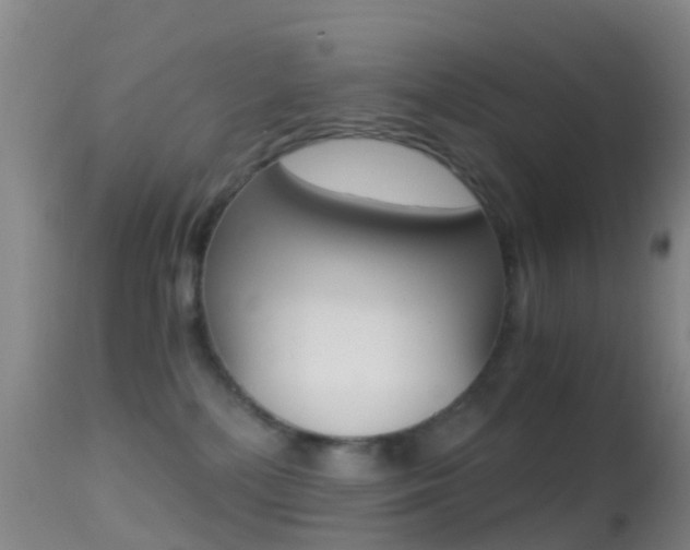 X0000114680232200910211038