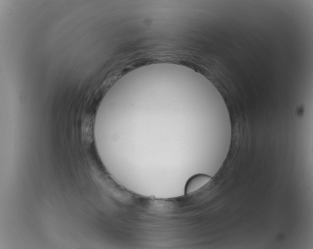 X0000114680234200910211038