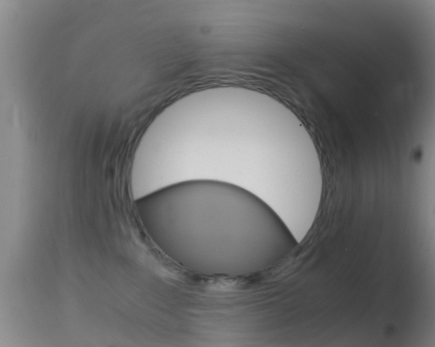 X0000114680235200910211038