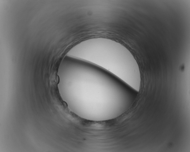 X0000114680236200910211038