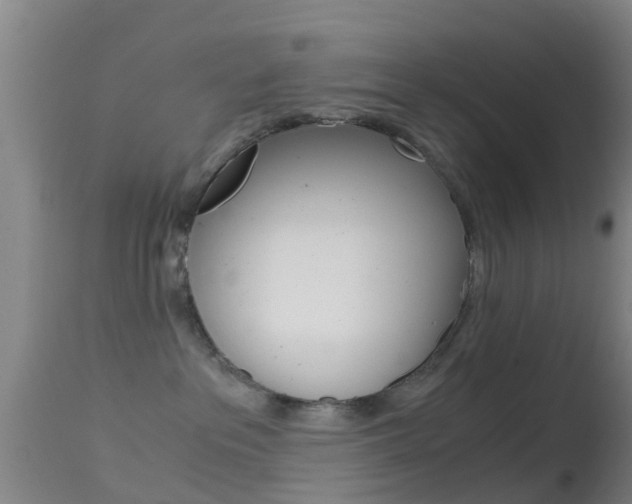 X0000114680237200910211038