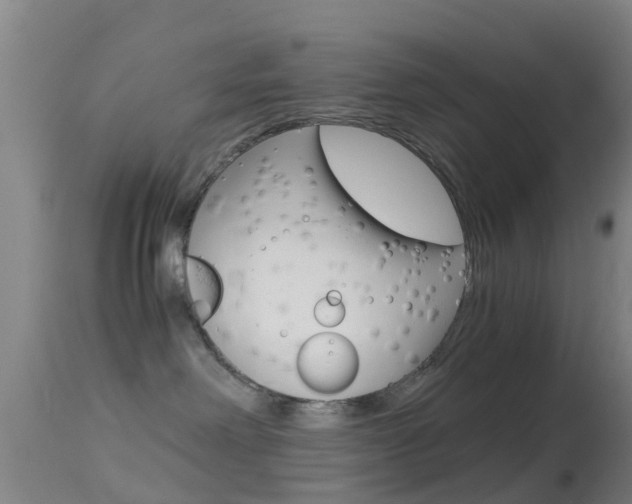 X0000114680238200910211038