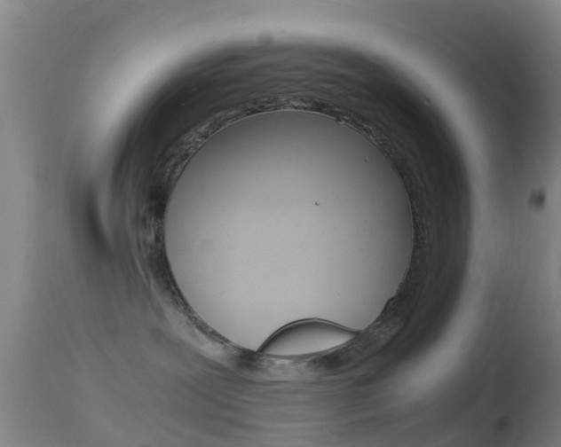 X0000114680239200910211038