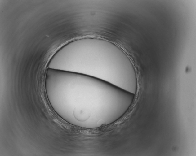 X0000114680241200910211038