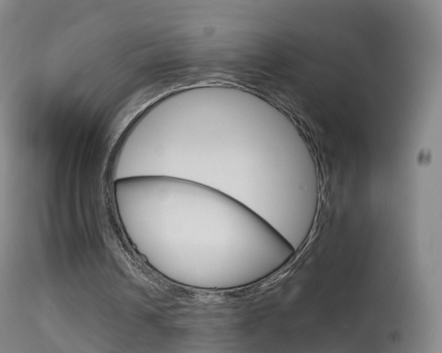 X0000114680242200910211038
