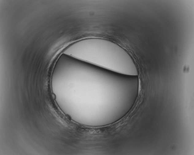 X0000114680243200910211038