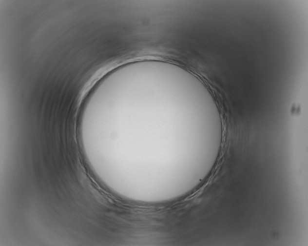 X0000114680244200910211038
