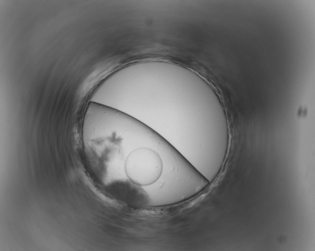 X0000114680245200910211038