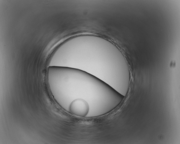 X0000114680247200910211038