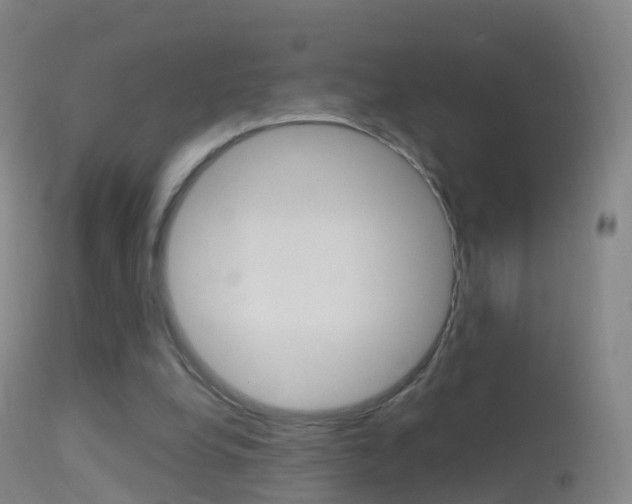 X0000114680248200910211038