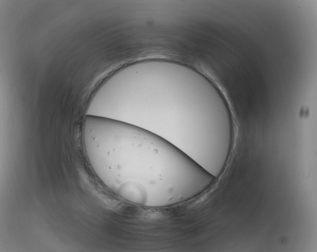 X0000114680249200910211038