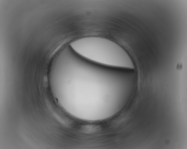 X0000114680251200910211038