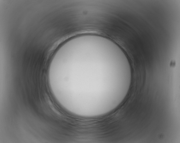 X0000114680252200910211038