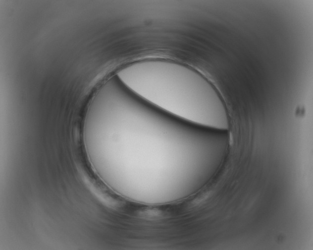 X0000114680253200910211038