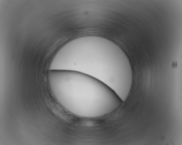 X0000114680254200910211038
