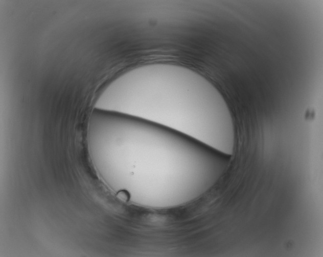 X0000114680255200910211038