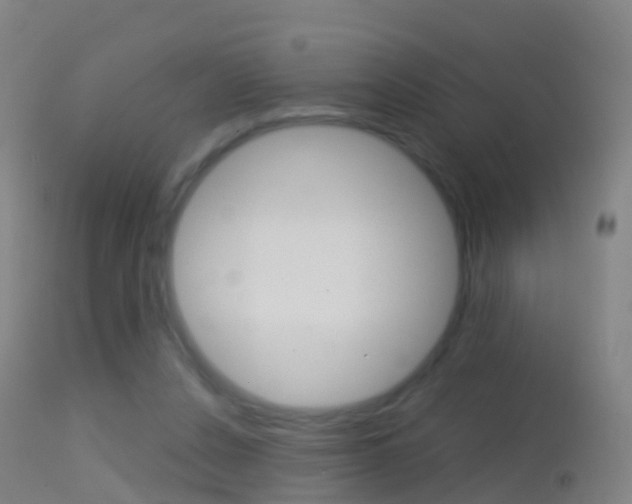 X0000114680256200910211038