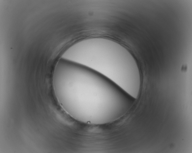X0000114680258200910211038
