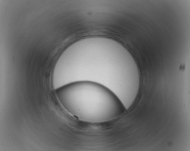 X0000114680260200910211038
