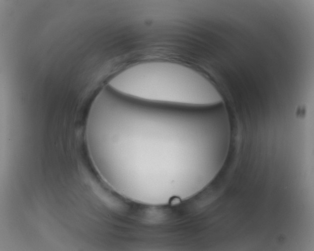 X0000114680261200910211038