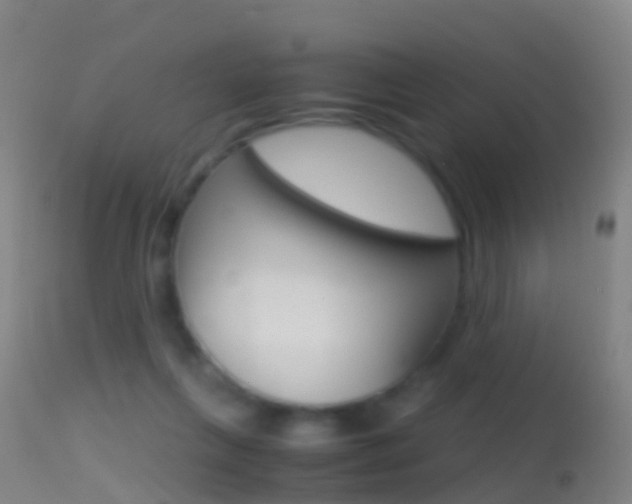 X0000114680263200910211038