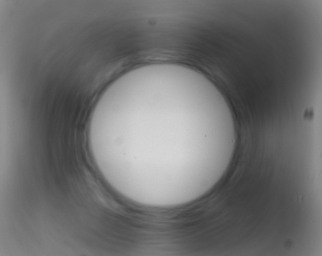 X0000114680264200910211038