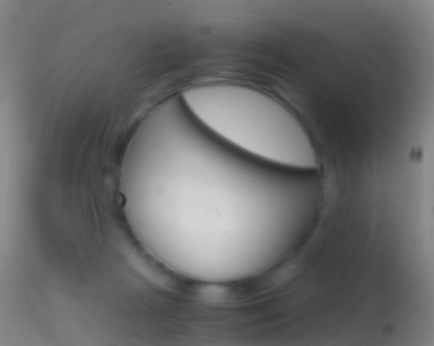 X0000114680265200910211038