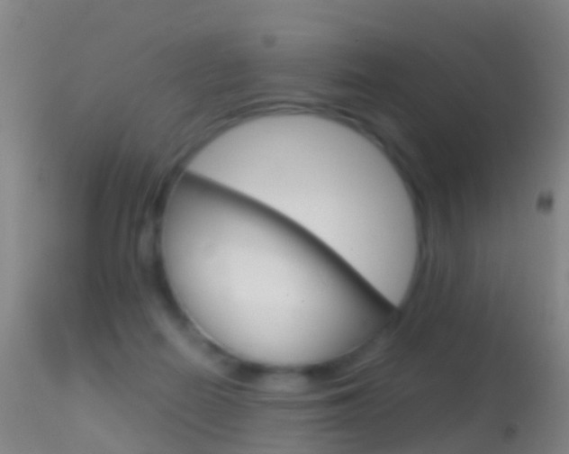 X0000114680266200910211038