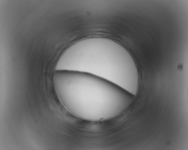 X0000114680267200910211038