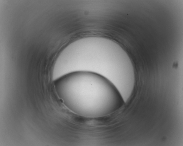 X0000114680268200910211038