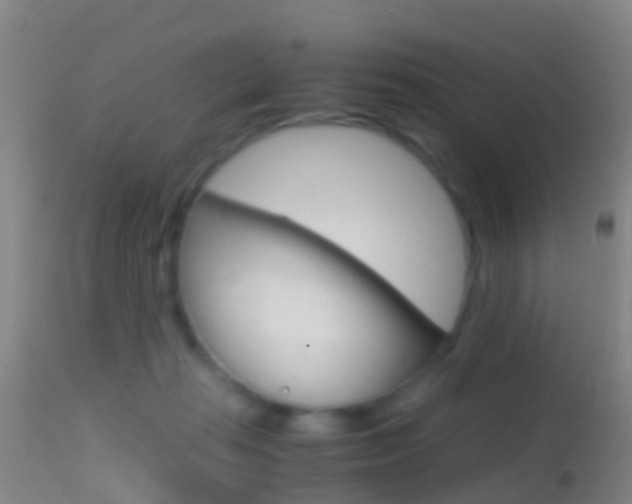 X0000114680269200910211038