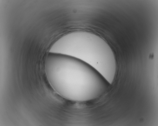 X0000114680270200910211038