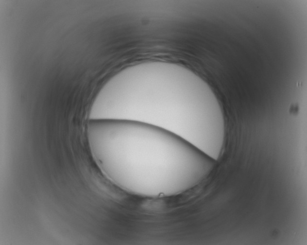 X0000114680271200910211038