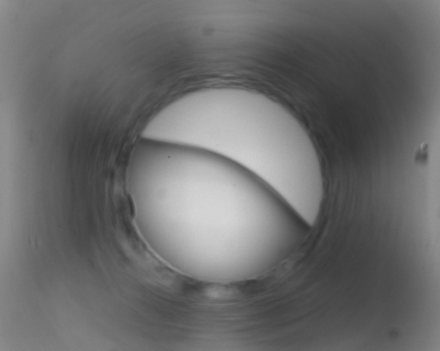 X0000114680272200910211038