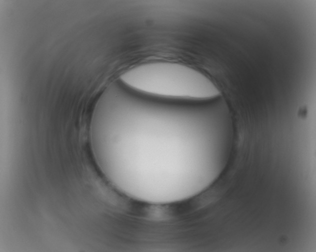 X0000114680273200910211038