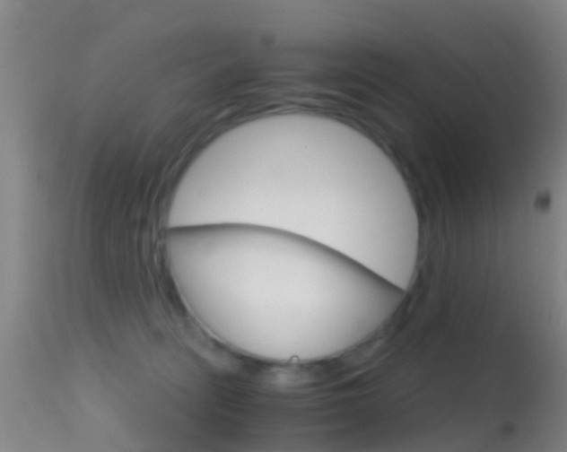 X0000114680275200910211038
