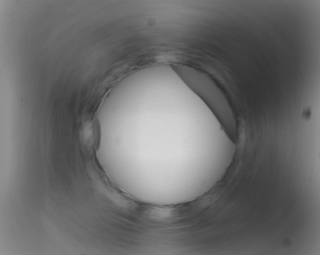 X0000114680276200910211038