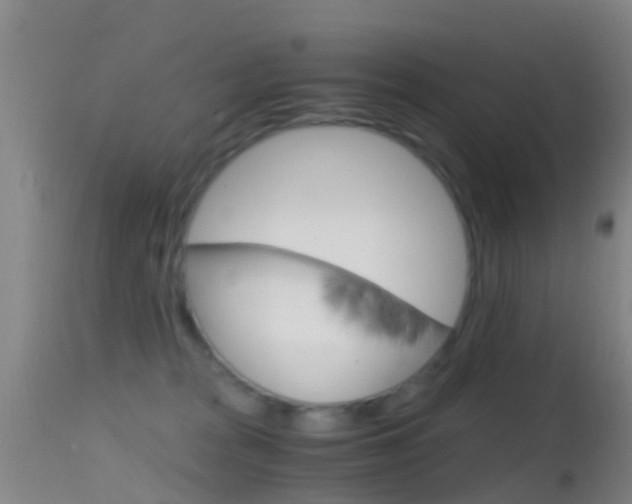 X0000114680277200910211038