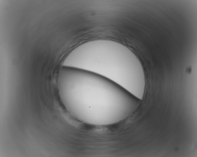 X0000114680278200910211038
