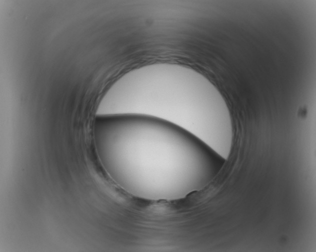 X0000114680280200910211038