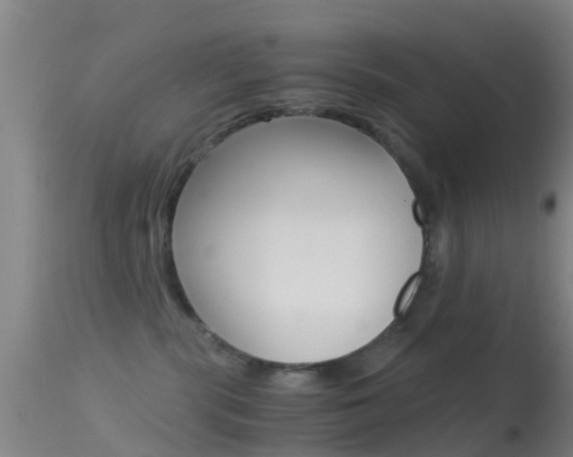 X0000114680283200910211038