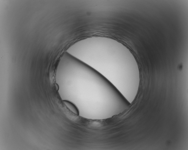 X0000114680285200910211038