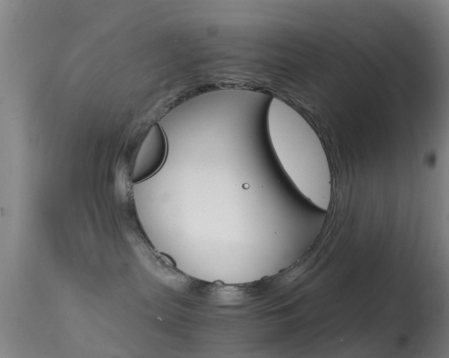 X0000114680287200910211038