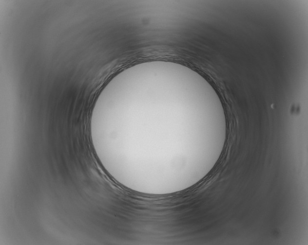 X0000114680288200910211038