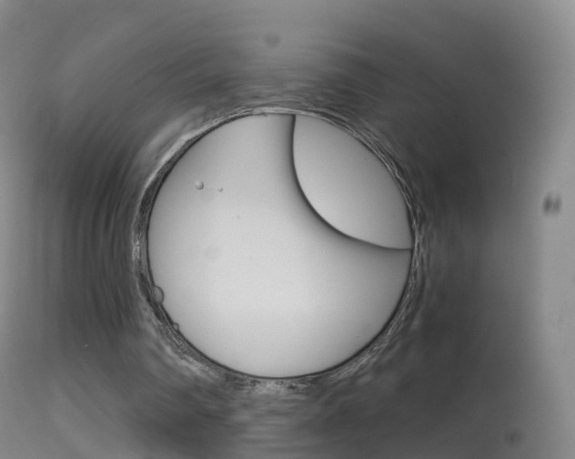 X0000114680290200910211038