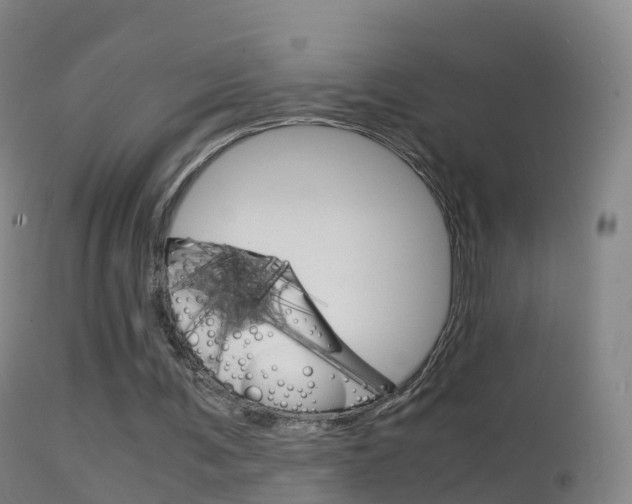 X0000114680291200910211038