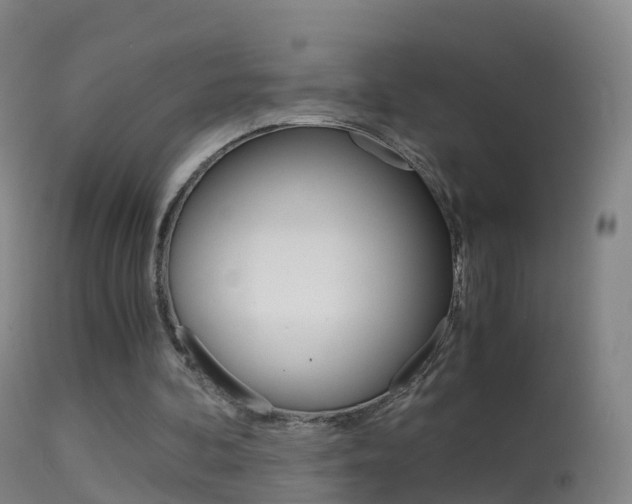 X0000114680292200910211038