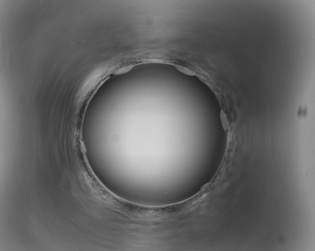 X0000114680293200910211038