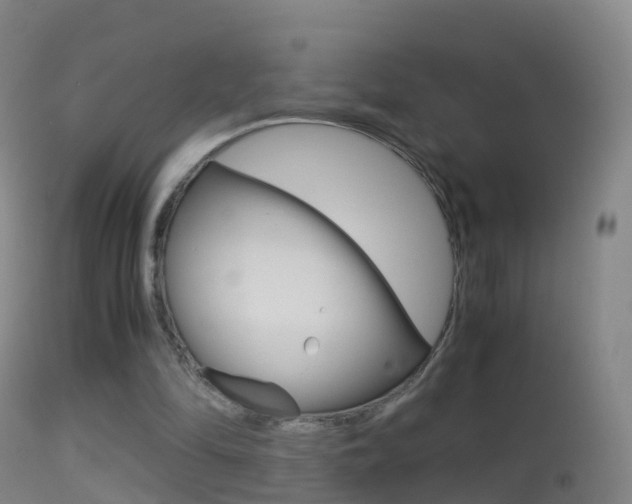 X0000114680294200910211038