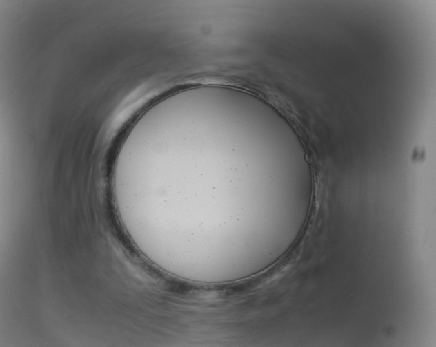 X0000114680295200910211038